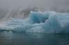 dsc06890_small.jpg