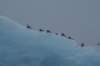 dsc06901_small.jpg