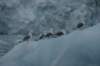 dsc06921_small.jpg