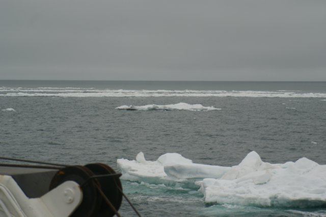 dsc06945.jpg