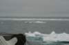 dsc06945_small.jpg