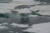 dsc06950_small.jpg