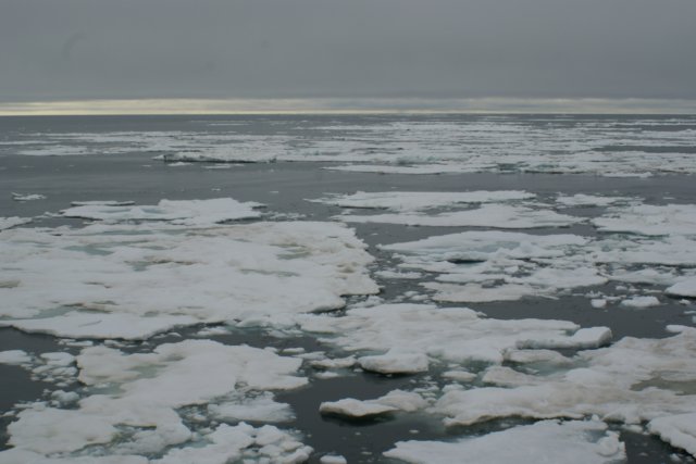 dsc06955.jpg