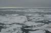 dsc06955_small.jpg