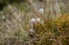 dsc06991_small.jpg
