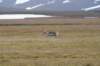dsc07011_small.jpg