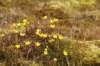 dsc07018_small.jpg
