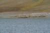 dsc07053_small.jpg
