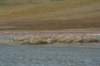 dsc07057_small.jpg