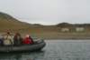 dsc07065_small.jpg