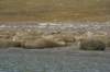 dsc07070_small.jpg