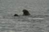 dsc07095_small.jpg