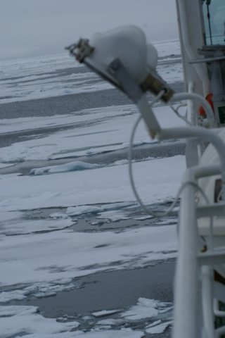dsc07117.jpg