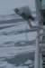 dsc07117_small.jpg