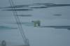 dsc07128_small.jpg