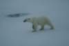 dsc07130_small.jpg