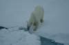 dsc07131_small.jpg