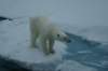 dsc07132_small.jpg