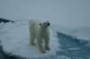 dsc07133_small.jpg