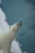 dsc07142_small.jpg