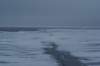 dsc07175_small.jpg