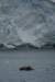 dsc07226_small.jpg