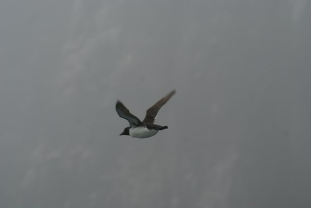 dsc07243.jpg
