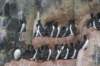 dsc07266_small.jpg