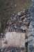 dsc07276_small.jpg