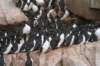 dsc07287_small.jpg