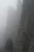 dsc07289_small.jpg
