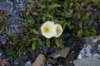 dsc07338_small.jpg