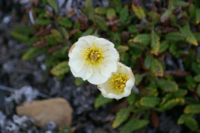 dsc07339.jpg