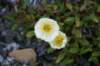 dsc07339_small.jpg