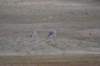 dsc07350_small.jpg
