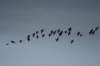 dsc07353_small.jpg