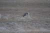 dsc07356_small.jpg