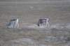 dsc07358_small.jpg