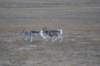 dsc07359_small.jpg