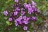 dsc07375_small.jpg