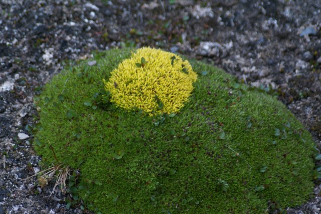 dsc07376.jpg