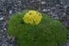 dsc07376_small.jpg