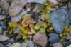 dsc07386_small.jpg