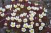 dsc07413_small.jpg