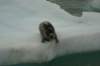 dsc07455_small.jpg