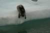 dsc07456_small.jpg