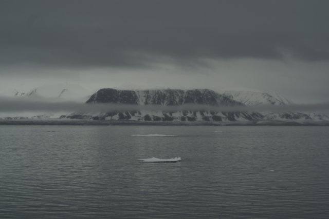 dsc07489.jpg