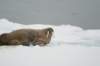 dsc07493_small.jpg