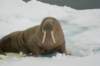 dsc07501_small.jpg