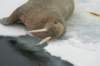 dsc07513_small.jpg